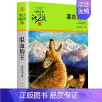 混血豺王 [正版]大全集沈石溪动物小说品藏书系列全套36册狼王梦四五六年级斑羚飞渡后一头战象雪豹悲歌混血豺王第七条猎狗十