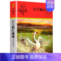 白天鹅红珊瑚 [正版]大全集沈石溪动物小说品藏书系列全套36册狼王梦四五六年级斑羚飞渡后一头战象雪豹悲歌混血豺王第七条猎