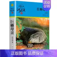 巨蜥母亲 [正版]大全集沈石溪动物小说品藏书系列全套36册狼王梦四五六年级斑羚飞渡后一头战象雪豹悲歌混血豺王第七条猎狗十