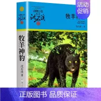 牧羊神豹 [正版]大全集沈石溪动物小说品藏书系列全套36册狼王梦四五六年级斑羚飞渡后一头战象雪豹悲歌混血豺王第七条猎狗十
