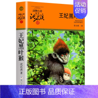 王妃黑叶猴 [正版]大全集沈石溪动物小说品藏书系列全套36册狼王梦四五六年级斑羚飞渡后一头战象雪豹悲歌混血豺王第七条猎狗