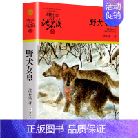 野犬女皇 [正版]大全集沈石溪动物小说品藏书系列全套36册狼王梦四五六年级斑羚飞渡后一头战象雪豹悲歌混血豺王第七条猎狗十