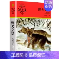 野犬女皇 [正版]大全集沈石溪动物小说品藏书系列全套36册狼王梦四五六年级斑羚飞渡后一头战象雪豹悲歌混血豺王第七条猎狗十