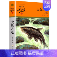 大鱼之道 [正版]大全集沈石溪动物小说品藏书系列全套36册狼王梦四五六年级斑羚飞渡后一头战象雪豹悲歌混血豺王第七条猎狗十