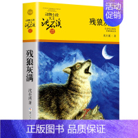 残狼灰满 [正版]大全集沈石溪动物小说品藏书系列全套36册狼王梦四五六年级斑羚飞渡后一头战象雪豹悲歌混血豺王第七条猎狗十