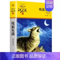 残狼灰满 [正版]大全集沈石溪动物小说品藏书系列全套36册狼王梦四五六年级斑羚飞渡后一头战象雪豹悲歌混血豺王第七条猎狗十