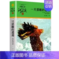 一只猎雕的遭遇 [正版]大全集沈石溪动物小说品藏书系列全套36册狼王梦四五六年级斑羚飞渡后一头战象雪豹悲歌混血豺王第七条