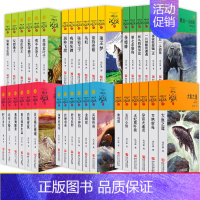 [全36册]沈石溪动物小说品藏书系列 [正版]大全集沈石溪动物小说品藏书系列全套36册狼王梦四五六年级斑羚飞渡后一头战象