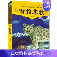 [正版]雪豹悲歌 沈石溪 动物小说大王沈石溪 品藏书系少儿寓言故事书书 7-10-12岁 儿童文学青少年小学生课外读