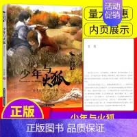 [正版]中国当代儿童文学沈石溪动物小说 少年与火狐 小学生课外阅读 少儿童读物书籍 晨光出版社