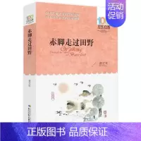 [正版]▼赤脚走过田野 百年百部中国儿童文学书系中小学生的长篇小说集青少年课外阅读 少儿儿童文学读物
