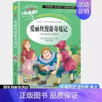 爱丽丝漫游奇境 [正版]鲁滨逊漂流记 山东美术出版社儿童书籍 小学生 课外阅读少儿书籍小学生故事书儿童课外读物鲁滨逊漂流