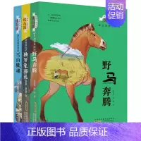 [正版]沈石溪动物小说系列全集全套全集3册动物救助站7-8-9-10-12周岁儿童文学读物小学生课外阅读书籍四五六年级初