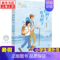 [正版]你的脚下我的脚下西雨客著青铜葵花获奖作品 小说中小学生三四五六七年级8-9-10-12-15岁少儿课外阅读物