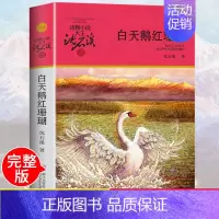 [正版] 沈石溪动物小说单本白天鹅红珊瑚 彩色插图本品藏书系列全套9-12-15-17岁四五六年级儿童长篇文学少儿课外书