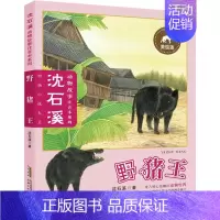 [正版]野猪王 美绘版 沈石溪 注音读物 少儿 安徽少年儿童出版社