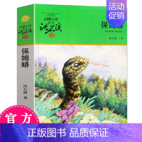 [正版]保姆蟒/动物小说大王沈石溪.品藏书系升级版 6-12岁少儿童文学小说读物 小学生课外阅读 三四五六年级小学生课外