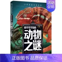 动物之谜 [正版]全套12册 少年探索发现少儿未解之谜儿童百科全书6-9岁中小学生课外科普读物世界宇宙人类地球海洋自然动