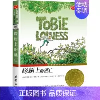 橡树上的逃亡 [正版]桥下一家人 升级版 儿童文学小说 三四五六年级中小学生课外小说文学阅读读物 9-12-15岁青少年