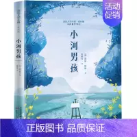 小河男孩 [正版]桥下一家人 升级版 儿童文学小说 三四五六年级中小学生课外小说文学阅读读物 9-12-15岁青少年少儿