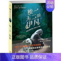 du一无二的伊凡 [正版]桥下一家人 升级版 儿童文学小说 三四五六年级中小学生课外小说文学阅读读物 9-12-15岁青