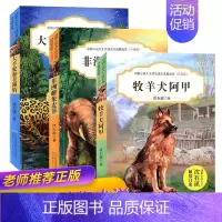 [正版]沈石溪动物小说全集全系列3册非洲雌象麦菲 6-7-8-9-12周岁儿童文学必读书籍 小学生三四五年级六年级课外阅