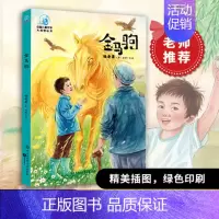 [正版]大视野:金马驹(彩图插画版)杨老黑 三四五六年级红色读物7-10-12-14岁老师课外阅读版 少儿童文学神话故事