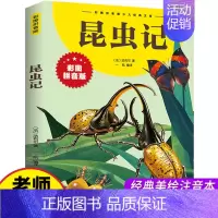 昆虫记 [正版] 法布尔昆虫记彩图注音版 6-8-10小学生一二三年级课外书书籍少儿读物 语文 曹文轩系列儿童文学故
