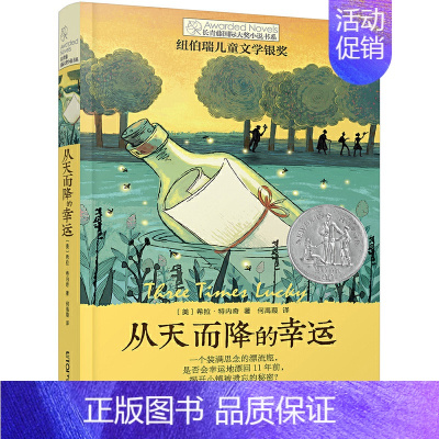 [单本]从天而降的幸运 [正版]我家没有英雄 约·维特克著 云南晨光出版社 长青藤国际小说系课外书阅读书目读物少儿儿童文
