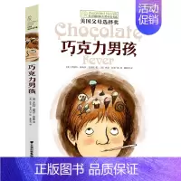 [单本]巧克力男孩 [正版]我家没有英雄 约·维特克著 云南晨光出版社 长青藤国际小说系课外书阅读书目读物少儿儿童文学青