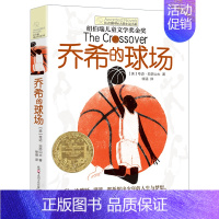 [单本]乔希的球场 [正版]我家没有英雄 约·维特克著 云南晨光出版社 长青藤国际小说系课外书阅读书目读物少儿儿童文学青