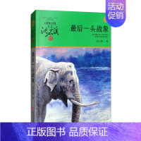 最后一头战象 [正版]后一头战象动物小说大王沈石溪品藏书系新版升级版7-9-10-12岁动物小说故事中国儿童文学少儿课外