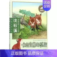 安少会做生意的狐狸-美绘版 [正版]会做生意的狐狸 美绘版 沈石溪 著 著 注音读物 少儿 安徽少年儿童出版社 图书