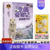 沙漠奇遇记小沙鼠走亲戚 [正版]书目 沙漠奇遇记 小沙鼠走亲戚 杨红樱童话注音本 儿童读物少儿文学 适合小学一二年级学生