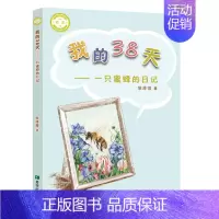我的38天——一只蜜蜂的日记 [正版]我的38天——一只蜜蜂的日记 侯泽俊著 7—10岁儿童课后读物儿童文学小学生阅读