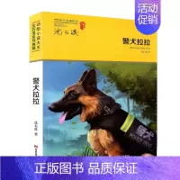 [正版] 警犬拉拉 动物小说大王 狼王梦沈石溪系列 典藏童书 少儿儿童读物 书店书籍 7-9-10-12岁吉林美