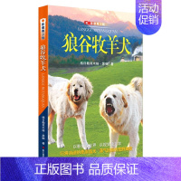 [正版]狼谷牧羊犬 影像青少版 黑鹤动物小说系列 六五四三年级中小学生课外书儿童文学9-10-12岁故事书籍 少儿读物图