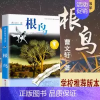 [正版]根鸟曹文轩全套 中小学生课外阅读书籍草房子青铜葵花 三四五六年级6-7-9-10-12-15周岁的初中生儿童读物