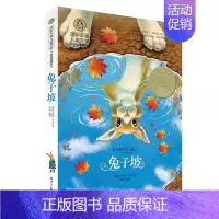 坡 [正版]国际大奖儿童文学系列 坡 美绘典藏版文学作品 儿童读物少儿童话故事 三四五六年级课外阅读中小学生6-