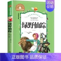 [彩图注音版]绿野仙踪 [正版]小学生二年级老师必读书籍假话国历险记(拼音美绘本) 罗大里 世界儿童文学精选故事读物 6