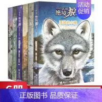 [正版]孤独的小狼/绝境狼王系列全套6册 动物小说童书青少年少儿读物10-15岁图书 课外书4-6年级儿童书籍星梯的召唤