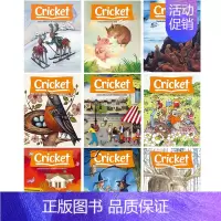 [Cricket]2021年一年期/9刊(全期) [正版]Cricket杂志少儿英语杂志期刊原版进口美国儿童杂志cr