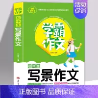 写景作文 [正版] 全3册名师手把手学霸作文初中生叙事作文写人作文写景作文七八九年级写景想象叙事抒情素材辅导难点重点问题