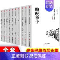 全套10册老舍经典作品 [正版]2024小升初满分作文小学生五六年级作文大全精选小学升初中作文素材书分类押题作文书写作指