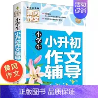 小学生小升初作文辅导 [正版]2024小升初满分作文小学生五六年级作文大全精选小学升初中作文素材书分类押题作文书写作指导