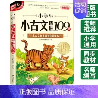 [正版]小学生小古文精讲109课 选文经典 择优选编 分类编排 小古文自主阅读启蒙读本 无障碍阅读 一二三四五六年级适用