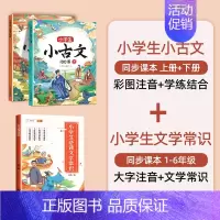 [博学知识]小古文+必背文学常识 小学通用 [正版]小学生小古文一百篇进阶阅读100课必背人教版100篇走进古诗词文学常