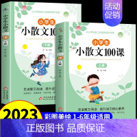 小学生小散文100课 (上下册) 小学通用 [正版]小学生小古文100课上下册朱文君 小古文100篇人教版注音版新编必背