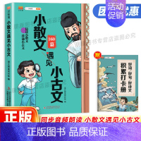 [通用版]小学生必背文学常识 小学通用 [正版]2024小散文遇见小古文一二三四五六年级语文通用版 小学生古文观止100