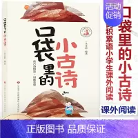口袋里的小古文小古诗 小学六年级 [正版] 口袋里的小古诗 朱文君著 古诗词积累语小学生课外阅读 彩色版 古诗朗读音频讲